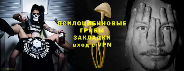 твердый Абинск