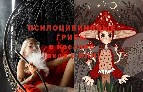 крисы Алексеевка