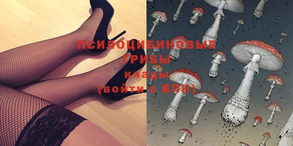 тгк Краснослободск