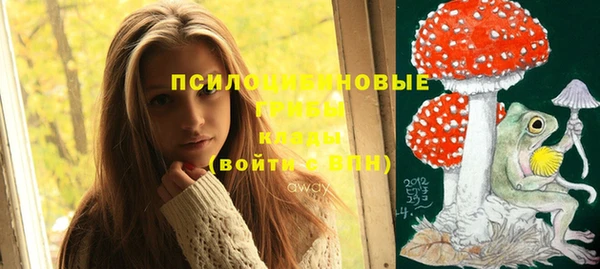 эйфоретик Алексин