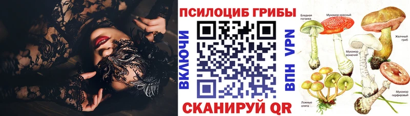 Псилоцибиновые грибы MAGIC MUSHROOMS  наркота  Азов 